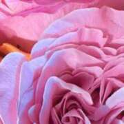 ヒメ日記 2025/06/29 20:30 投稿 かな 石川金沢ちゃんこ