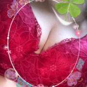 ヒメ日記 2025/07/08 10:00 投稿 かな 石川金沢ちゃんこ