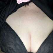 ヒメ日記 2025/07/13 07:45 投稿 かな 石川金沢ちゃんこ