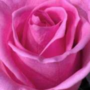 ヒメ日記 2025/07/16 19:45 投稿 かな 石川金沢ちゃんこ