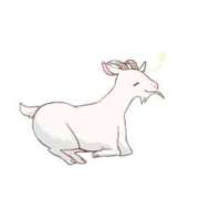 ヒメ日記 2025/07/17 15:15 投稿 かな 石川金沢ちゃんこ