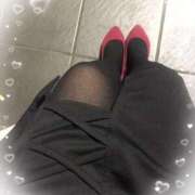 ヒメ日記 2025/07/28 11:05 投稿 かな 石川金沢ちゃんこ