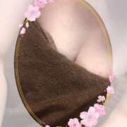 ヒメ日記 2025/07/29 13:05 投稿 かな 石川金沢ちゃんこ