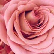 ヒメ日記 2025/08/02 23:35 投稿 かな 石川金沢ちゃんこ