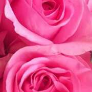 ヒメ日記 2025/08/24 20:45 投稿 かな 石川金沢ちゃんこ