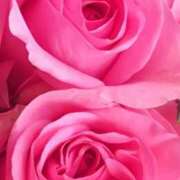 ヒメ日記 2025/08/27 20:15 投稿 かな 石川金沢ちゃんこ