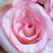 ヒメ日記 2025/08/30 14:01 投稿 かな 石川金沢ちゃんこ