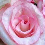 ヒメ日記 2025/08/30 14:05 投稿 かな 石川金沢ちゃんこ