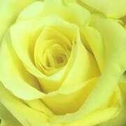 ヒメ日記 2025/08/31 19:35 投稿 かな 石川金沢ちゃんこ