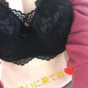 ヒメ日記 2025/11/24 06:31 投稿 かな 石川金沢ちゃんこ