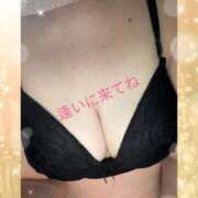 ヒメ日記 2025/12/09 09:28 投稿 かな 石川金沢ちゃんこ