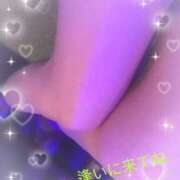 ヒメ日記 2025/12/23 14:18 投稿 かな 石川金沢ちゃんこ