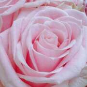 ヒメ日記 2026/01/27 09:41 投稿 かな 石川金沢ちゃんこ