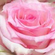 ヒメ日記 2026/02/28 08:01 投稿 かな 石川金沢ちゃんこ