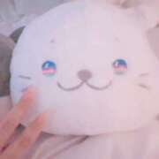 ヒメ日記 2025/09/01 10:26 投稿 さえこ 京都祇園・南インターちゃんこ