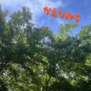 ヒメ日記 2025/09/06 00:05 投稿 さえこ 京都祇園・南インターちゃんこ