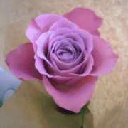 ヒメ日記 2025/11/10 06:45 投稿 さえこ 京都祇園・南インターちゃんこ