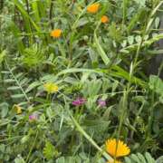 ヒメ日記 2026/03/31 20:42 投稿 さえこ 京都祇園・南インターちゃんこ