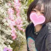 ヒメ日記 2026/04/01 08:40 投稿 さえこ 京都祇園・南インターちゃんこ