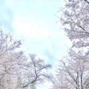 ヒメ日記 2026/04/02 20:13 投稿 さえこ 京都祇園・南インターちゃんこ