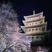 ヒメ日記 2026/04/12 19:46 投稿 さえこ 京都祇園・南インターちゃんこ