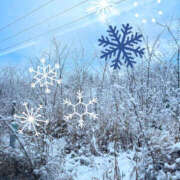 ヒメ日記 2024/12/13 17:15 投稿 さやか 新宿・新大久保おかあさん