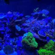 ヒメ日記 2025/03/16 09:55 投稿 さやか 新宿・新大久保おかあさん