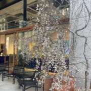 ヒメ日記 2026/03/24 20:01 投稿 りあな 小岩人妻花壇