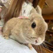 ヒメ日記 2025/04/20 22:14 投稿 姫乃ゆりな LUXE(リュクス)