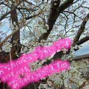 ヒメ日記 2025/04/06 17:27 投稿 わかな 土浦ハッピーマットパラダイス