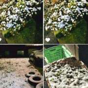 わかな 勝手に選手権ꉂꉂ(ˊᗜˋ*)HAHAʬʬ 土浦ハッピーマットパラダイス