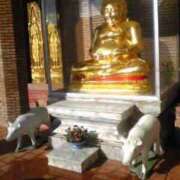 ヒメ日記 2024/12/29 18:53 投稿 あんり 熟女総本店