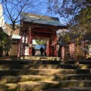 ヒメ日記 2025/01/19 18:57 投稿 あんり 熟女総本店