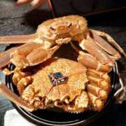 ヒメ日記 2025/03/09 16:55 投稿 あんり 熟女総本店