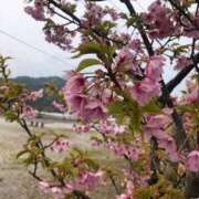 ヒメ日記 2025/03/18 17:45 投稿 あんり 熟女総本店