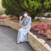 ヒメ日記 2025/04/02 06:45 投稿 あんり 熟女総本店