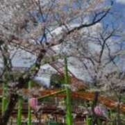 ヒメ日記 2025/04/04 16:55 投稿 あんり 熟女総本店