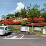 ヒメ日記 2025/04/25 17:01 投稿 あんり 熟女総本店