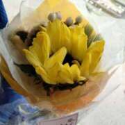 ヒメ日記 2025/04/26 17:45 投稿 あんり 熟女総本店