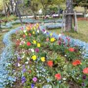 ヒメ日記 2025/05/02 16:55 投稿 あんり 熟女総本店