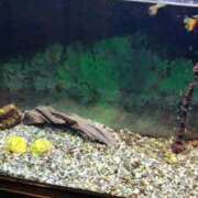 ヒメ日記 2025/05/04 17:05 投稿 あんり 熟女総本店