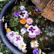 ヒメ日記 2025/05/06 18:15 投稿 あんり 熟女総本店