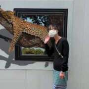 ヒメ日記 2025/05/12 06:05 投稿 あんり 熟女総本店