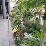 ヒメ日記 2025/05/13 17:05 投稿 あんり 熟女総本店