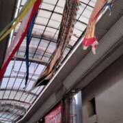 ヒメ日記 2025/05/21 18:35 投稿 あんり 熟女総本店