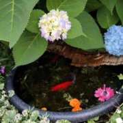 ヒメ日記 2025/05/24 00:05 投稿 あんり 熟女総本店