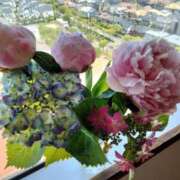 ヒメ日記 2025/06/06 17:05 投稿 あんり 熟女総本店