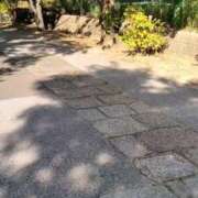 ヒメ日記 2025/06/20 17:12 投稿 あんり 熟女総本店