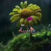 ヒメ日記 2025/06/24 17:05 投稿 あんり 熟女総本店