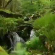 ヒメ日記 2025/07/10 15:06 投稿 あんり 熟女総本店